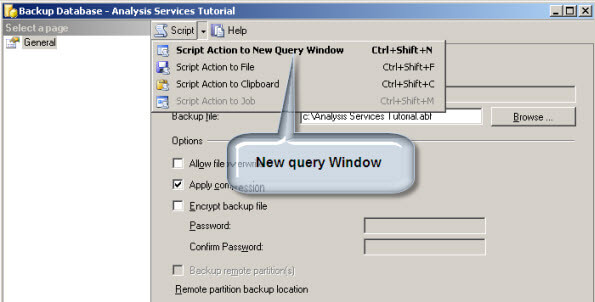 Script Action to New Query Window
