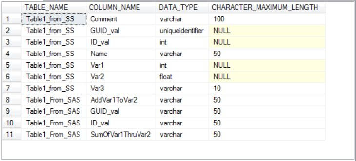 Data type information in SQL Server for our sample table