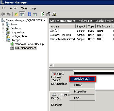 select Initialize Disk