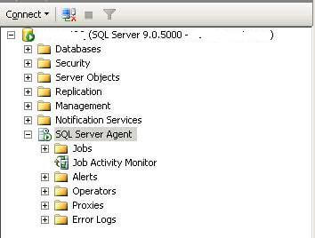 SQL Server agent started