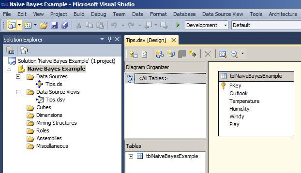 The Solution Explorer should appear as it does below with one Data Source and one Data Source View defined. 