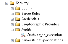 Server Audit