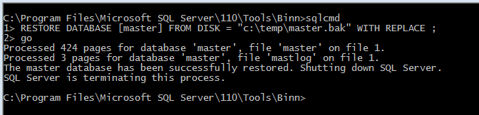 Restore Master Database Screenshot