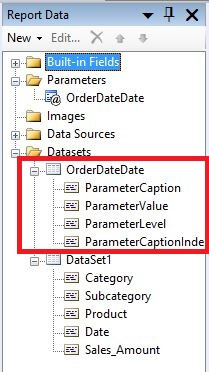 Report Parameter Hidden Dataset