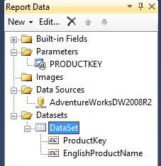 Report Data Pane After Creating Dataset