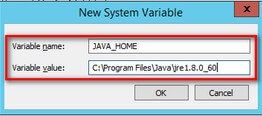 New System Variable