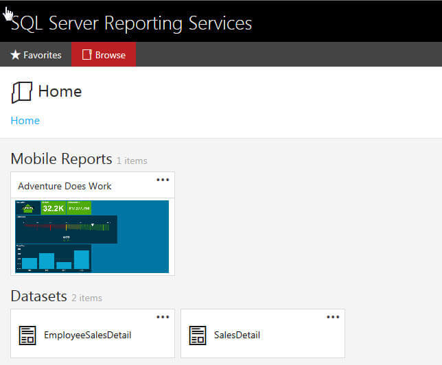 SSRS Reprot Server Preview Mode