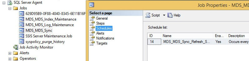 SQL Server Agent Job that is created based on the schedule