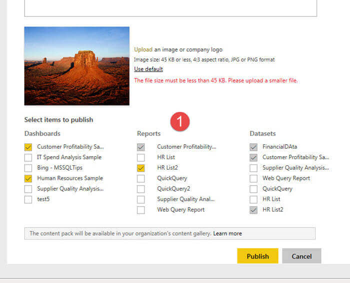 Determine the Dashboards, Reports and Datasets included with the Power BI Content Pack