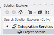 Solution Explorer parameters