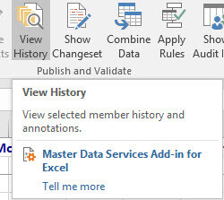 View History button in Excel for Master Data Services