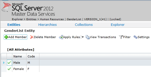 Update access in SQL Server Master Data Services
