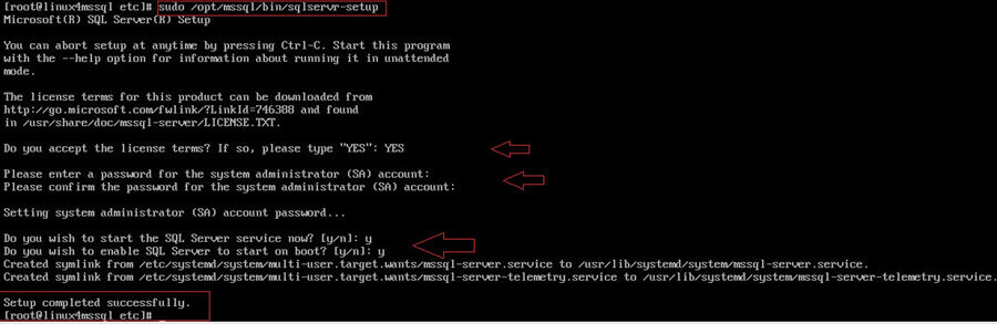 start the SQL Server service by choosing Y to start