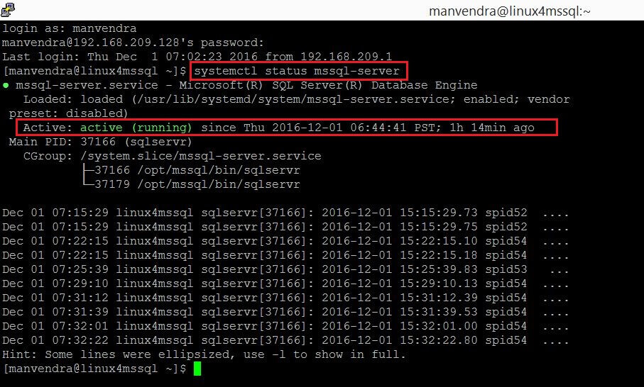 Check mssql-server service on the Linux Server