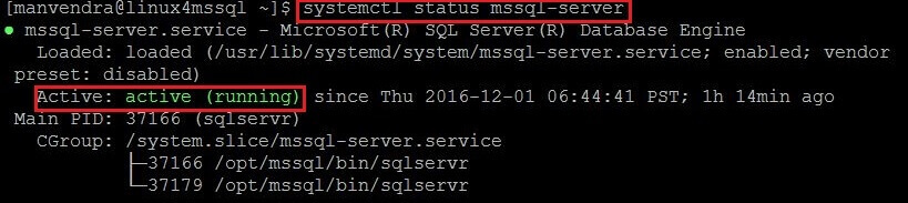 Check the mssql-server service