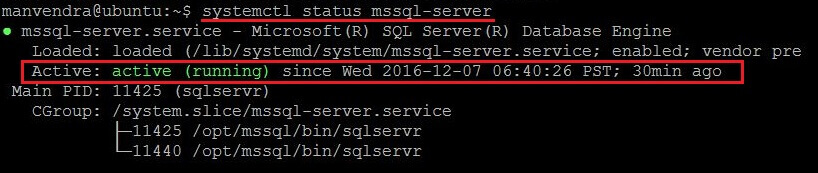 Check mssql-server service