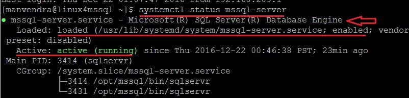 check sql server service