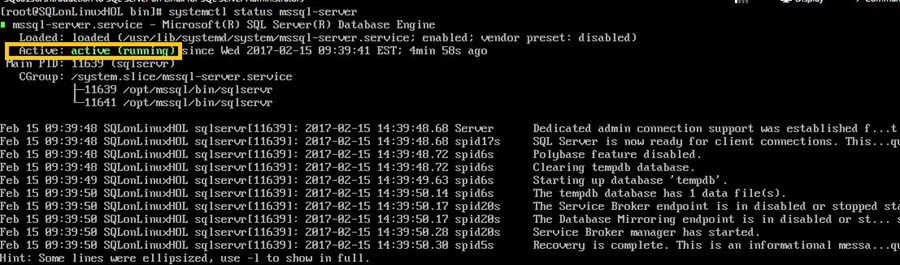 Verify the SQL Server service status