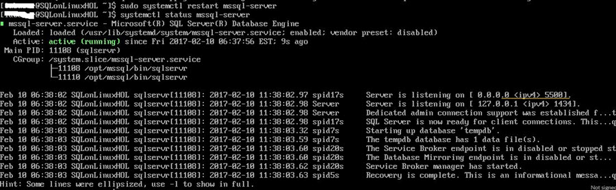 SQL Server service status