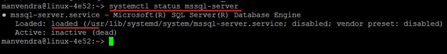 check SQL Server service