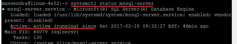 Check mssql-server service