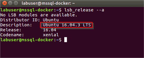 Image 1: Ubuntu OS version