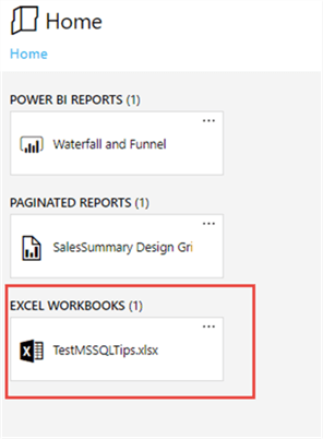Excel in PBIRS - Description: Excel in PBIRS