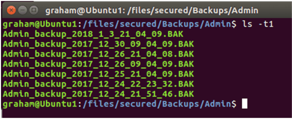 backup sql server database on linux