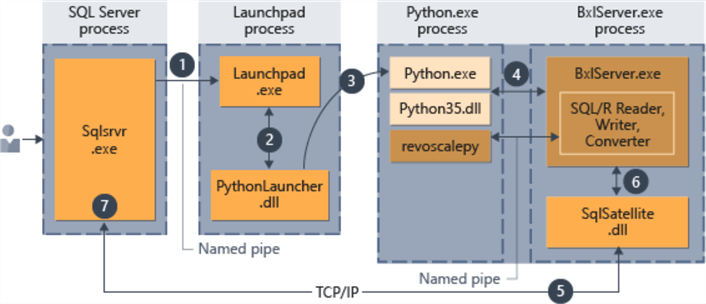 sql server python processes
