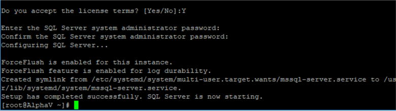 Enter SQL Server administrator (SA) password