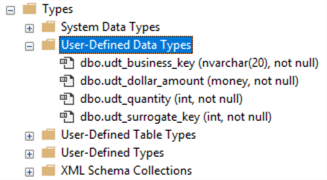 The image illustrates that several other new user-defined data types were created in this step. 