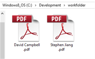The screenshot shows the working folder that hosts the pdf files generated by the new stored procedure.