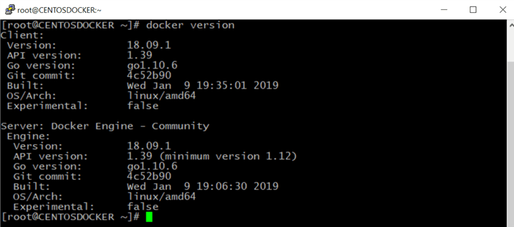 Docker Version Command