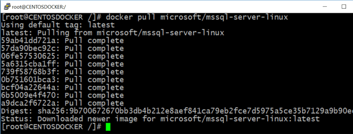 docker pull microsoft/mssql-server-linux