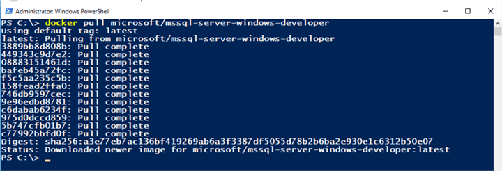 docker pull microsoft/mssql-server-windows-developer in PowerShell