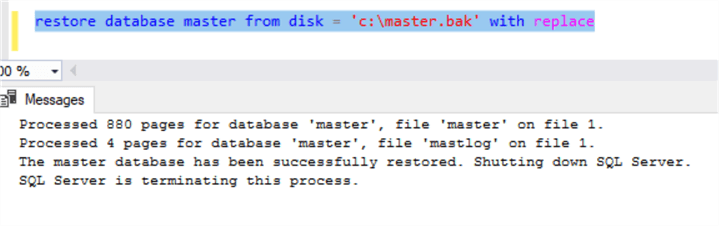 shows restore database command for master running successfully