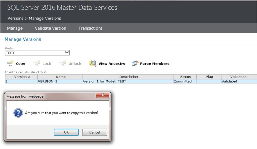 master data services copy version