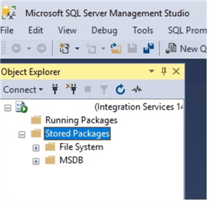 successful connection to ssis using ssms