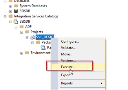 execute ssis package