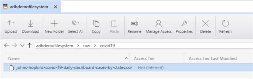 Shows the CSV uplloaded to the data lake