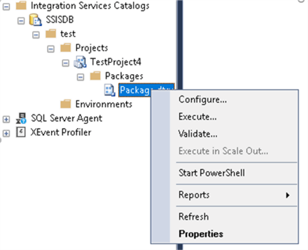 Manually running an SSIS package