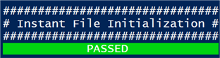 Instant File Initialization 