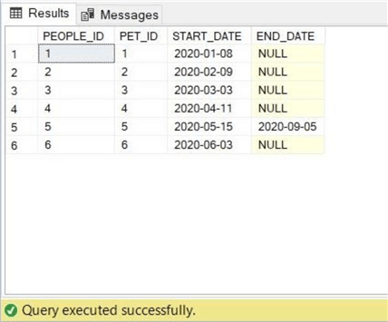 T-SQL LEFT JOIN CLAUSE - Output from SSMS showing 6 OWNER records.