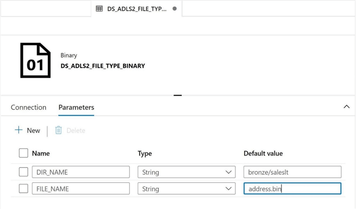 ADLS & ADF - Support Multiple File Formats - Binary File Format - Parameters