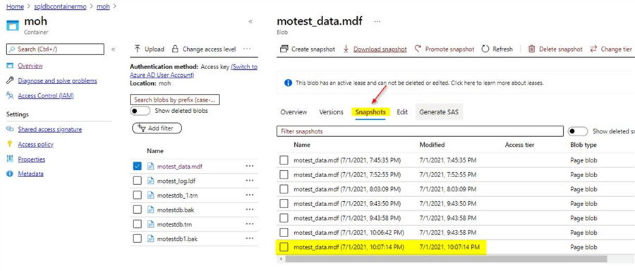 list of database snapshot backups