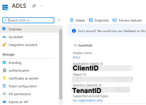 CopyAppIds Copy the Client and Tenant IDs from the registered App