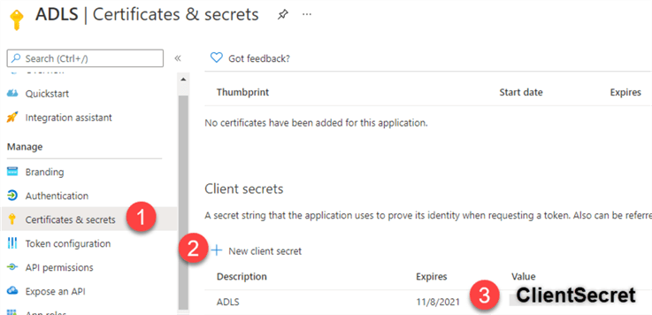CopyClientSecret Copy the client secret from the registered app.
