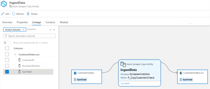 Synapselineage Synapse Pipeline lineage in Azure Purview