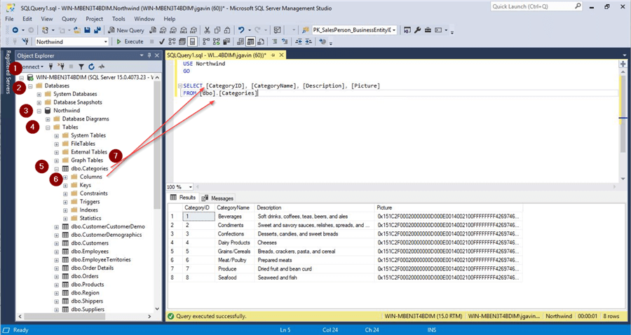 Dragging and Dropping Object Names from Object Explorer to a Query Window