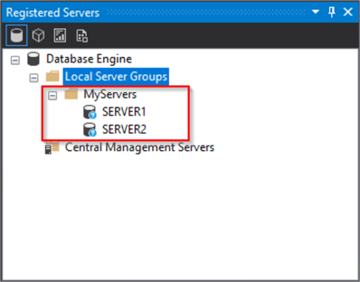 Registered Servers List
